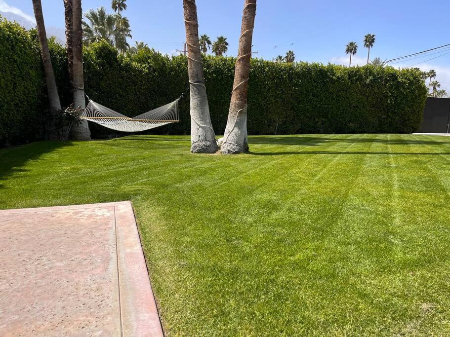 Mid-Century Modern Gem W/ Big Yard Beautiful Views Palm Springs Exterior foto